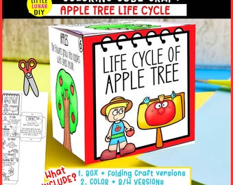 Apfelbaum Lebenszyklus Cube Box Falten Handwerk: FRUIT Pflanzenbaum Studie Interaktive Wissenschaftliche Ressourcen Aktivität Kinder Vorschulspiel Lernen