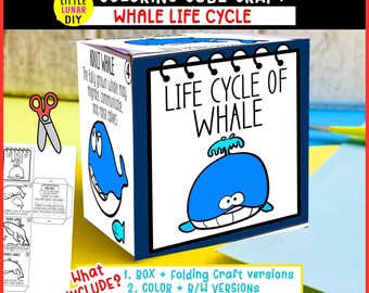 Wal-Lebenszyklus Cube Box Falten Handwerk: OCEAN Sea Meeressäugetier Tierstudie Interaktive Wissenschaftliche Ressourcenaktivität Kinder Vorschullernen