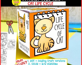Katzenlebenszyklus Cube Box Falten Handwerk: PET Tiere Studie Interaktive Wissenschaft Ressourcen Aktivität Kinder Vorschulspiel Lernen Homeschool