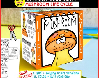 Pilz-Lebenszyklus Cube Box Falten Handwerk: PILZ Pflanze Naturstudie Interaktive Wissenschaftliche Ressourcen Aktivität Kinder Vorschul-Spiel Lernen