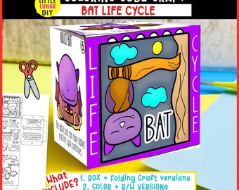 Fledermaus-Lebenszyklus Cube Box Falthandwerk: MAMMAL Wildtier-Nachtaktive Tierstudie Interaktive Wissenschaftsressourcenaktivität Kinder im Vorschulalter Lernen