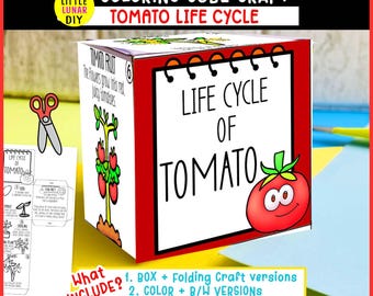 Tomaten-Lebenszyklus Cube Box Falten Handwerk: GEMÜSE Pflanzengarten Studie Interaktive Wissenschaft Lehrer Ressourcen Aktivität Vorschulspiel Lernen