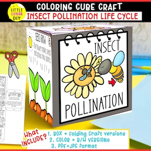 Insect Pollination Life Cycle Cube Box Folding Craft: Plant Flower Bee Unit Study Interactive Garden Science Resource Activity Preschool