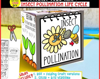 Insektenbestäubung Lebenszyklus Würfelbox Falten Handwerk: Pflanzenblume Biene Einheit Studie Interaktiv Gartenwissenschaftliche Ressourcenaktivität Vorschule