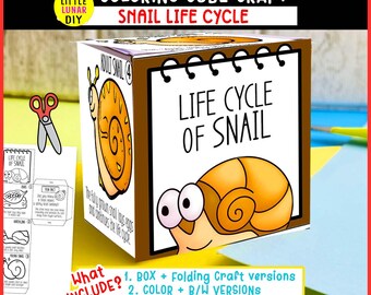 Schnecken-Lebenszyklus Cube Box Falten Handwerk: Mollusk Garten Tierstudie Interaktive Wissenschaftliche Ressourcen Aktivität Kinder Vorschulspiel Lernen