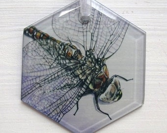 Dragonfly Suncatcher - Glass Hexagon - Window Decoration - Tree Ornament - Wall Hanging - Nature Lover's Gift - Wildlife Themed Gift