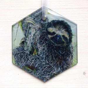 May include: Hexagonal ornament with a detailed illustration of a sloth on a tree branch. The sloth has dark fur and a calm expression. A white ribbon is attached for hanging. The background is a soft green.