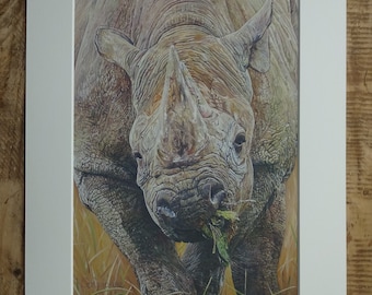 Rhino Limited Edition Giclee 8" x 10" Print  - 11" x 14" Mount - Kifaru - Rhino art - Father's Day gift - Retirement gift -