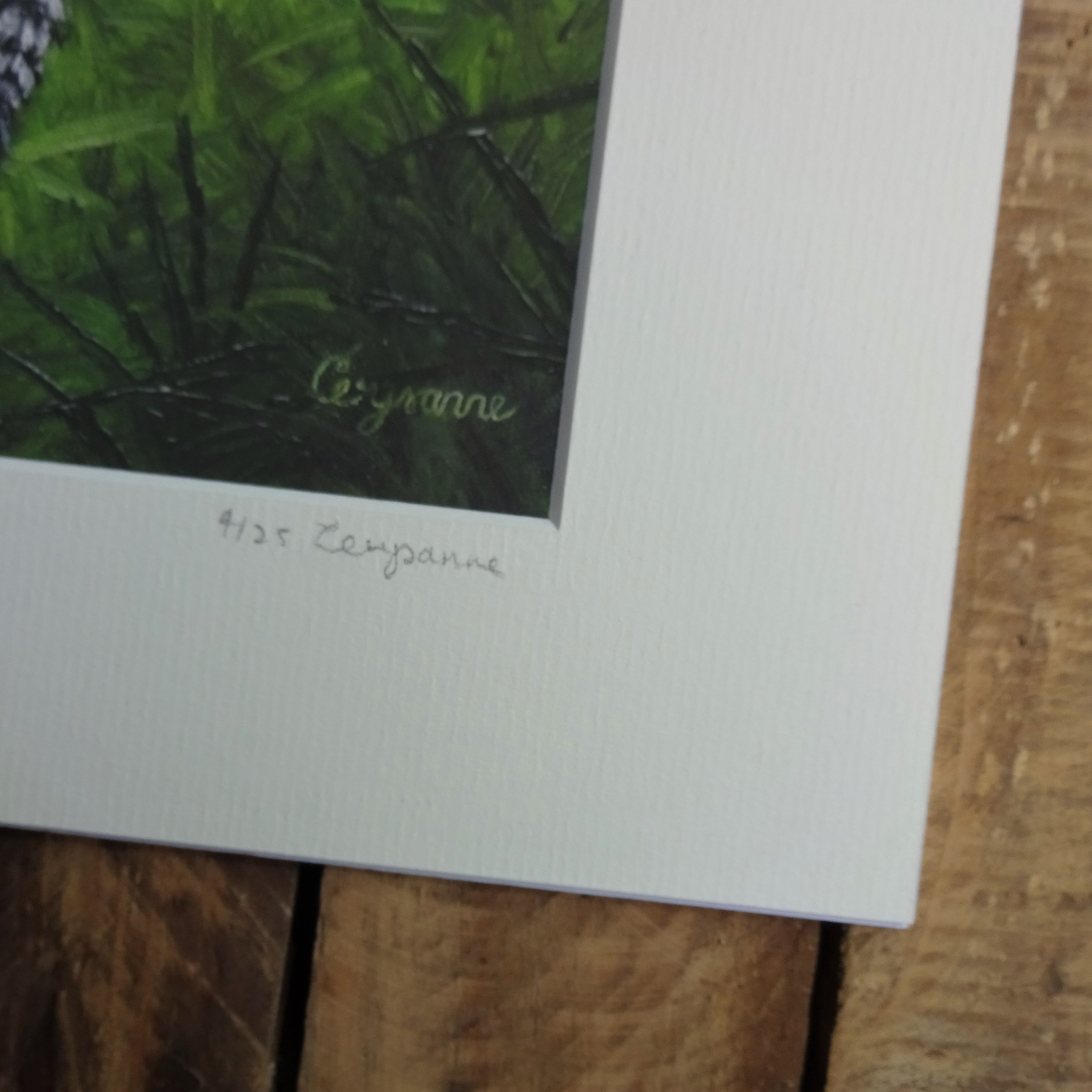Ring Tailed Lemur Limited Edition Giclee Art Print Etsy