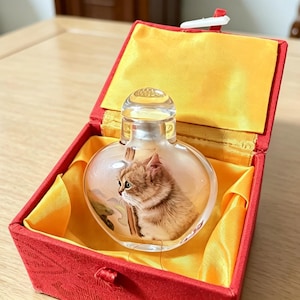 May include: A clear glass snuff bottle featuring an interior painting of a brown tabby cat, housed in a red fabric-covered box with a bright yellow satin lining. The bottle has a rounded heart-like shape and a small clear glass stopper on top.
