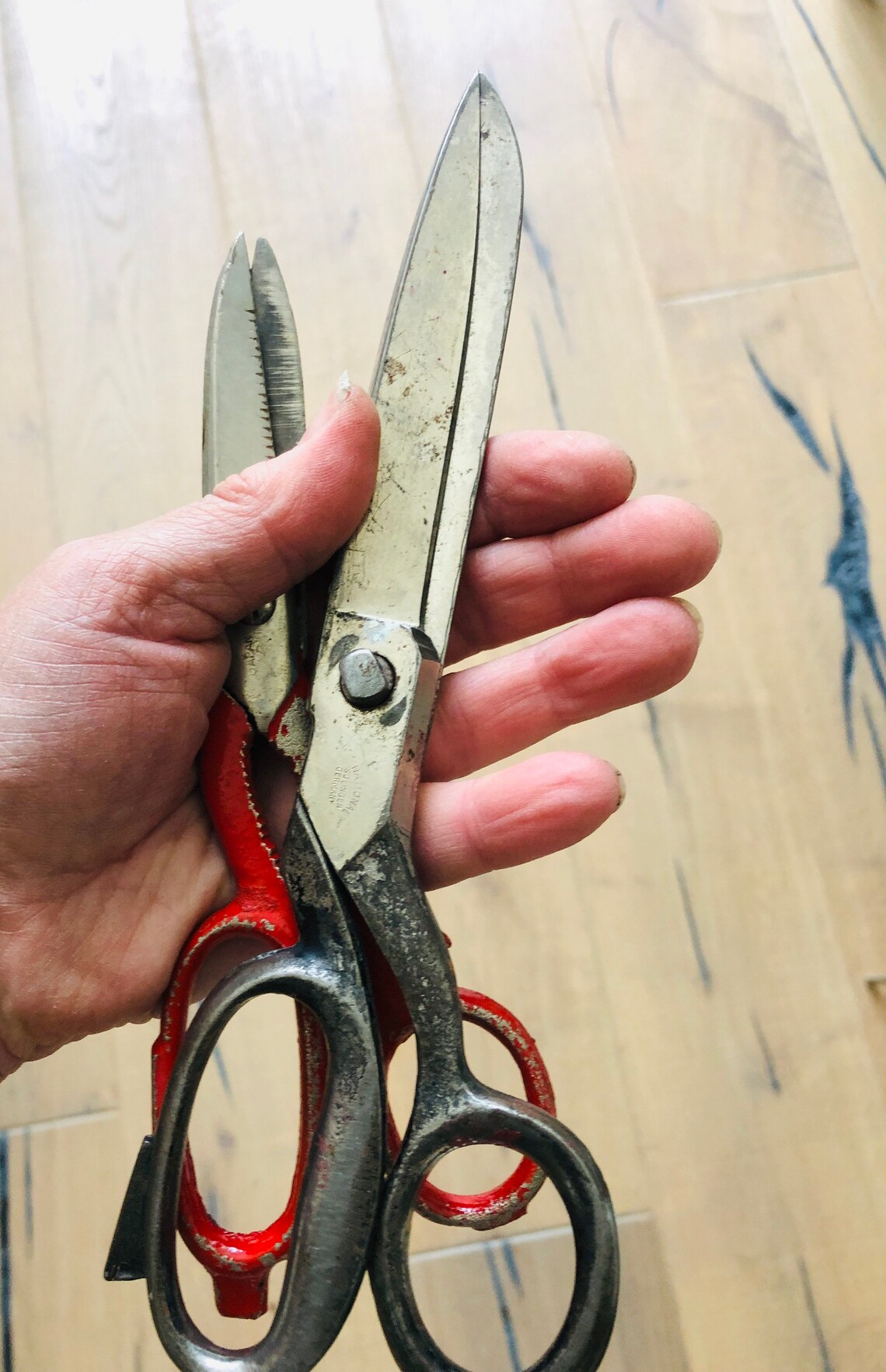 German Scissors 1930s Iron Rustic Garden Tool Primitive Etsy