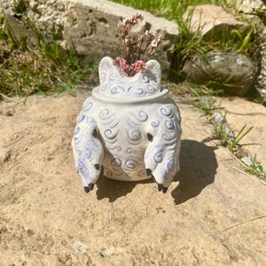 Peut inclure: Un vase en céramique blanc en forme de grenouille avec des détails bleus et un motif bouclé. Le vase contient des fleurs séchées roses. La grenouille a des orteils noirs et est posée sur une roche beige.