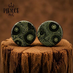 Natural Ocean Kambaba Jasper Ear Plugs, Bird's Eye Rhyolite Orbicular Green Black Stone Gauges, Handmade Double Flare Body Jewelry