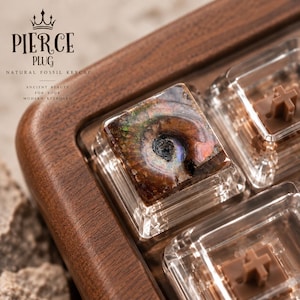 Puede incluir: Una tecla mecánica cuadrada que presenta un fósil de ammonite natural marrón e iridiscente incrustado en resina transparente. La tecla está colocada en un marco de madera oscura con el texto PIERCE PLUG NATURAL FOSSIL KEYCAP ANCIENT BEAUTY FOR YOUR MODERN KEYBOARD.