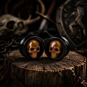 May include: A pair of circular ear plugs featuring polished black rims and carved golden-brown tiger's eye stone skulls centered within each piece. The smooth, reflective surfaces of the stone skulls contrast with the deep black material of the plugs.