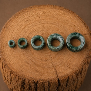 May include: Five circular ear gauges arranged in a row from smallest to largest. Each piece is crafted from a dark green stone with a mottled, marbled texture and a smooth, polished finish, featuring a hollow centre for insertion into earlobes.
