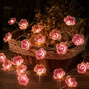 Peut inclure: Une guirlande lumineuse LED composée de fleurs roses translucides. Chaque fleur possède cinq pétales avec une source lumineuse brillante au centre. Les lumières sont disposées de manière décorative, drapées sur et autour d'un panier en osier marron.