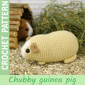 Chubby guinea pig amigurumi crochet pattern