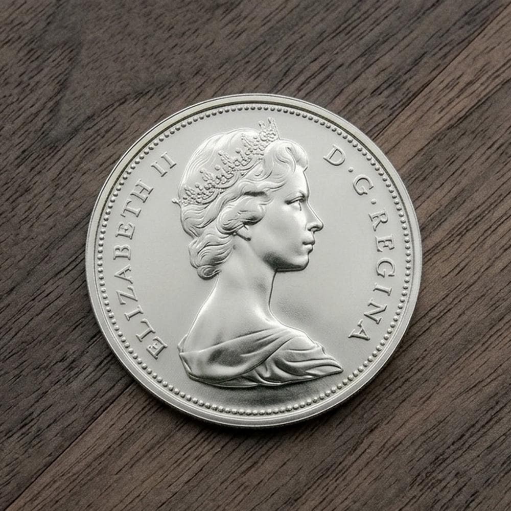 Rare 1 dollar coin - Etsy 日本