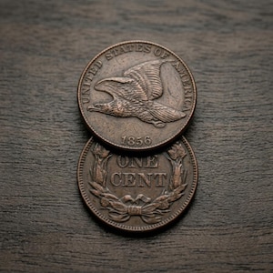 Pode incluir: Duas moedas cor de cobre empilhadas verticalmente. A moeda superior apresenta uma águia em voo, o texto UNITED STATES OF AMERICA e o ano 1856. A moeda inferior exibe o texto ONE CENT rodeado por uma coroa de folhas com um laço.