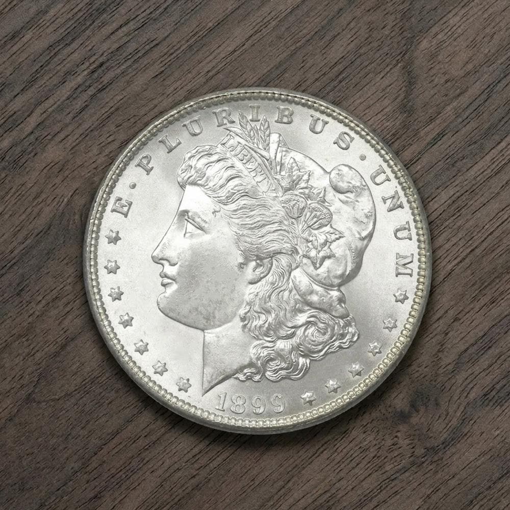 1899 morgan silver dollar - Etsy 日本