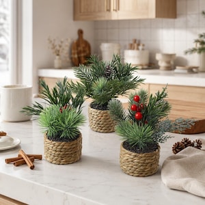 May include: Three small artificial evergreen arrangements in woven seagrass pots. Each plant features green pine needles, cedar-like foliage, and dark soil. One arrangement includes bright red berries, while another features a small brown pinecone.