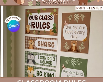Classroom Rules Posters Bundle, Editable Back to School Decor, Elementary and High School Classroom Management Prints PDF WO1