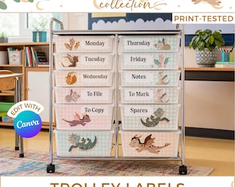 Dragon Teacher Trolley Labels, Editable 10 Drawer Rolling Cart Labels, Canva Decor DR1