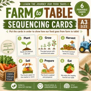May include: A set of six Farm to Table sequencing cards featuring illustrations and text explaining food production steps from planting to eating. The cards are labeled 1 through 6 and include A3 size and preschool and kindergarten labels.