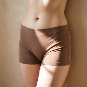 Puede incluir: Ropa interior estilo shorty de color marrón sólido con una cintura ancha y plana y costuras reforzadas a lo largo de los paneles frontales de la cadera. La prenda está confeccionada en un tejido liso y mate con un corte limpio y aberturas.