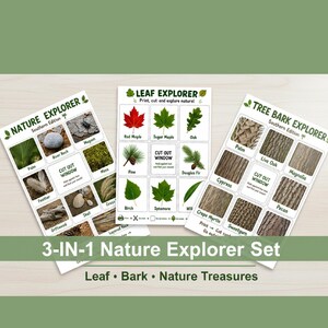 Könnte beinhalten: Ein 3-in-1 Nature Explorer Set mit drei pädagogischen Arbeitsblättern mit den Titeln Nature Explorer, Leaf Explorer und Tree Bark Explorer. Jedes Blatt enthält rasterbasierte Bilder von Naturgegenständen mit ausgeschnittenen Fenstern.