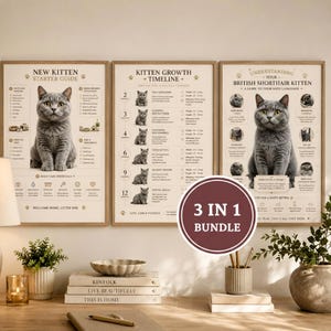 May include: Three framed educational posters featuring grey British Shorthair kittens. The posters are titled New Kitten Starter Guide, Kitten Growth Timeline, and Understanding Your British Shorthair Kitten, containing text, icons, and kitten images.