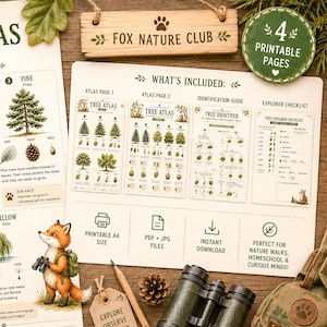 Fiches d'identification des arbres pour enfants | Guide des écorces et des feuilles et liste d'observation | Étude de la nature (PDF) | Activité de plein air pour l'école à la maison | Format A4