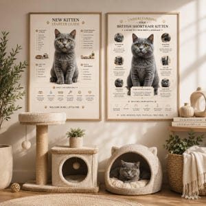 New British Shorthair Kitten Bundle, Starter Guide Growth Timeline Body Language Prints