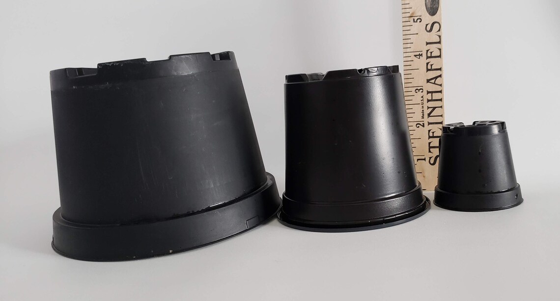 ONE Farbe Pflanze Pods von Sommersprossen Garten | Etsy