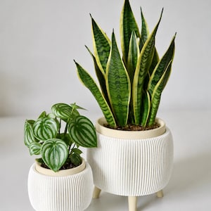 May include: Two white, ribbed, cylindrical planters with three short, light-colored legs. The larger planter holds a tall snake plant with dark green, yellow-edged leaves. The smaller planter contains a watermelon peperomia with round, striped leaves.
