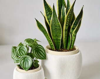Modern Ribbed Plant Pot with Legs | Minimalist Indoor Planter | Scandinavian Flower Pot | Houseplant Pot