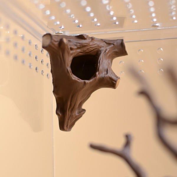 Esconderijo de canto para aranha-saltadora | Toca magnética para aranha | Decoração para recinto na floresta