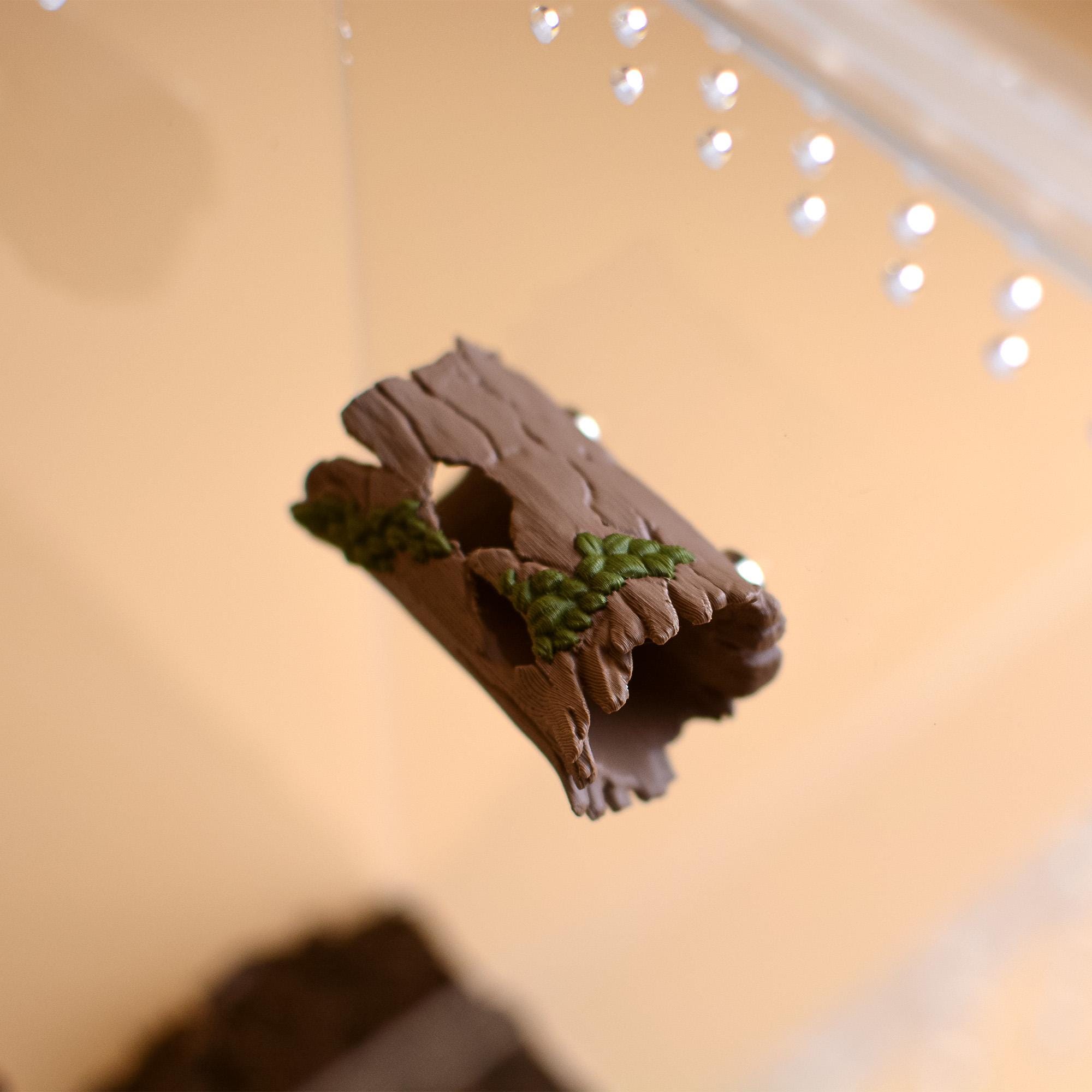Spider Pet Habitats