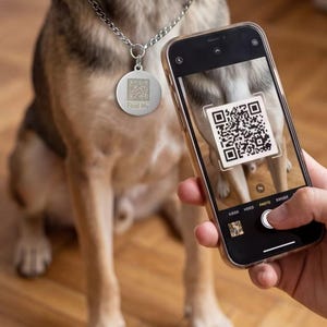 Op de afbeelding: Een zilverkleurige ronde huisdierpenning met een QR-code en de tekst "Find My" gegraveerd, bevestigd aan een zilveren metalen kettinghalsband. Een smartphone wordt omhoog gehouden en toont de QR-code via de camera-interface.