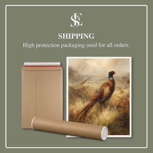 May include: A brown cardboard mailing envelope and a cylindrical cardboard shipping tube positioned next to a rectangular print featuring a pheasant in a grassy field. The text reads SE, SHIPPING, and High protection packaging used for all orders.