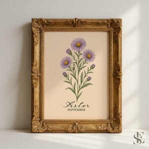 Può includere: Una stampa botanica incorniciata raffigurante un grappolo di fiori aster viola con steli e foglie verdi su uno sfondo beige chiaro. Il testo Aster e SEPTEMBER è stampato in nero sotto l'illustrazione, racchiuso in una cornice dorata ornata.