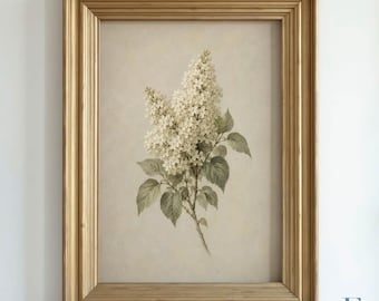White Lilac Botanical Print, Vintage Floral Wall Art, Cottagecore Flower Illustration, Antique Style Lilac Artwork, Neutral Printable Decor