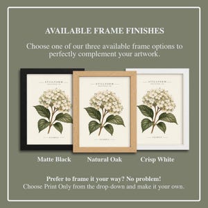 May include: Three rectangular picture frames displaying a botanical hydrangea print. The frames are available in matte black, natural oak, and crisp white finishes. Text reads: AVAILABLE FRAME FINISHES, STILLFORM EDITIONS CO, and EXAMPLE.