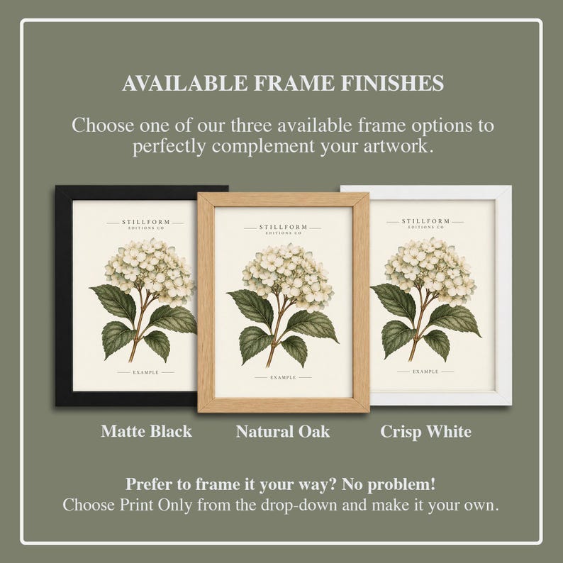 May include: Three rectangular picture frames displaying a botanical hydrangea print. The frames are available in matte black, natural oak, and crisp white finishes. Text reads: AVAILABLE FRAME FINISHES, STILLFORM EDITIONS CO, and EXAMPLE.