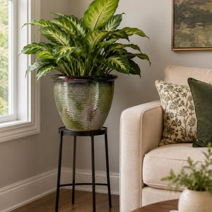 Green Glaze Ceramic Planter Pot | Green Ribbed Texture | Rustic Style
