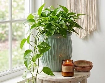 9" Teal Glazed Ceramic Planter - Ribbed Indoor Plant Pot for Houseplants, Mid-Century & Boho Decor