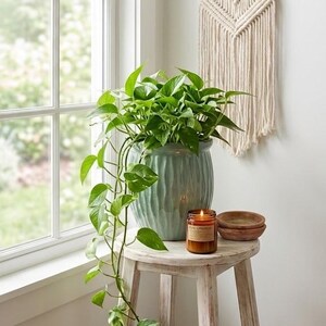 9" Teal Glazed Ceramic Planter - Ribbed Indoor Plant Pot for Houseplants, Mid-Century & Boho Decor