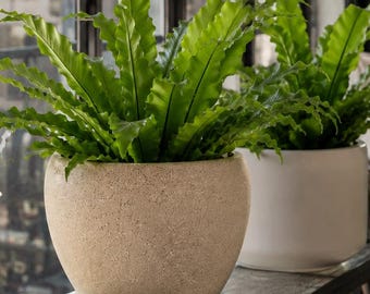 Zandbeige keramische bloempot: West-Duitse studiostijl uit het midden van de eeuw
