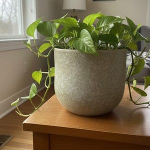 Portuguese Ceramic Planter Pot 7x6 | Neutral Beige Speckled Green Stoneware Cachepot |